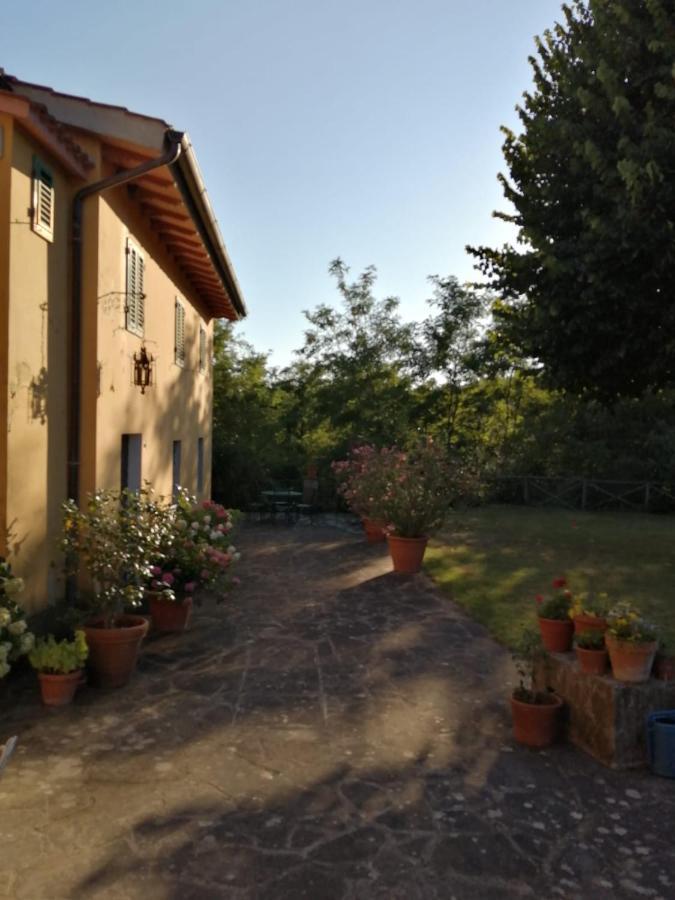 Mugello - Casa Di Campagna Bed & Breakfast Vicchio Luaran gambar