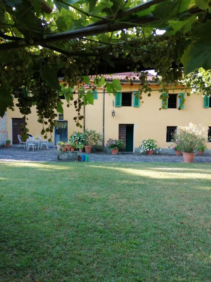 Mugello - Casa Di Campagna Bed & Breakfast Vicchio Luaran gambar